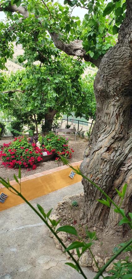 Scillato  Casa Vacanze Fondaco Di Scillato מראה חיצוני תמונה